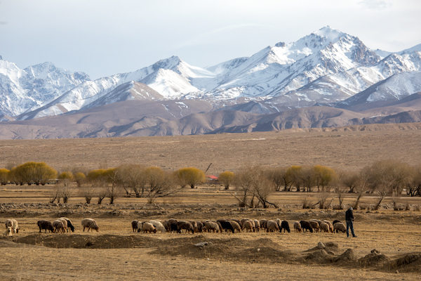 从南疆到北疆，十天看尽四季