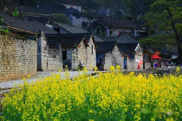 出游 | 湖光山色美不胜收！到兴义一定要去这些地方走走！