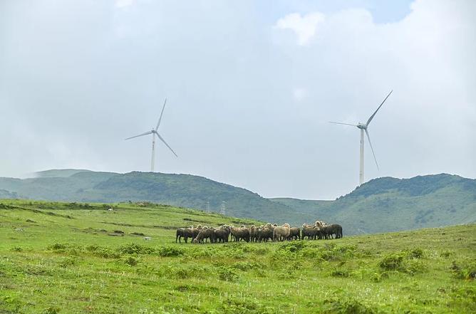 【盘州旅游】贵州六盘水最值得旅游的网红景点，你值得拥有！